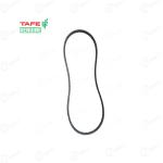 मैसी 241 टैफे असली अल्टरनेटर बेल्ट | 4242553M01