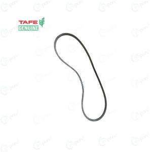 Massey 245 Tafe Genuine Alternator & Water Pump Driven Belt | 2224C01601