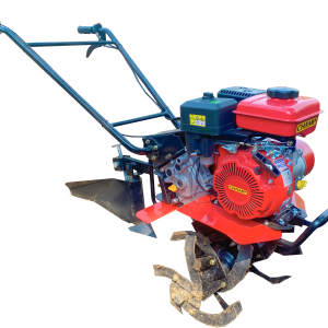 Power Weeder-CHAMP PTG300