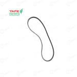 Massey 245 Tafe Genuine Alternator & Water Pump Driven Belt | 2224C01601